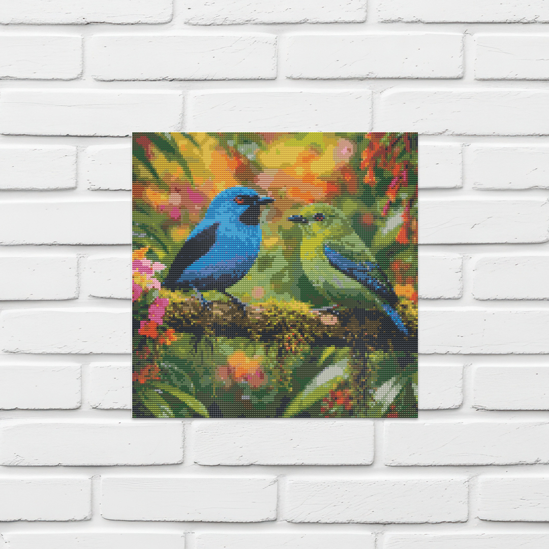Blue Dacnis