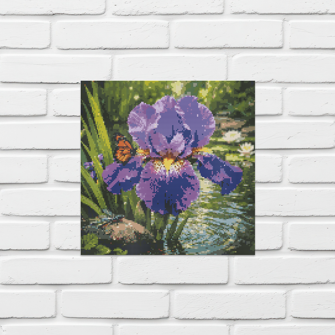 Iris