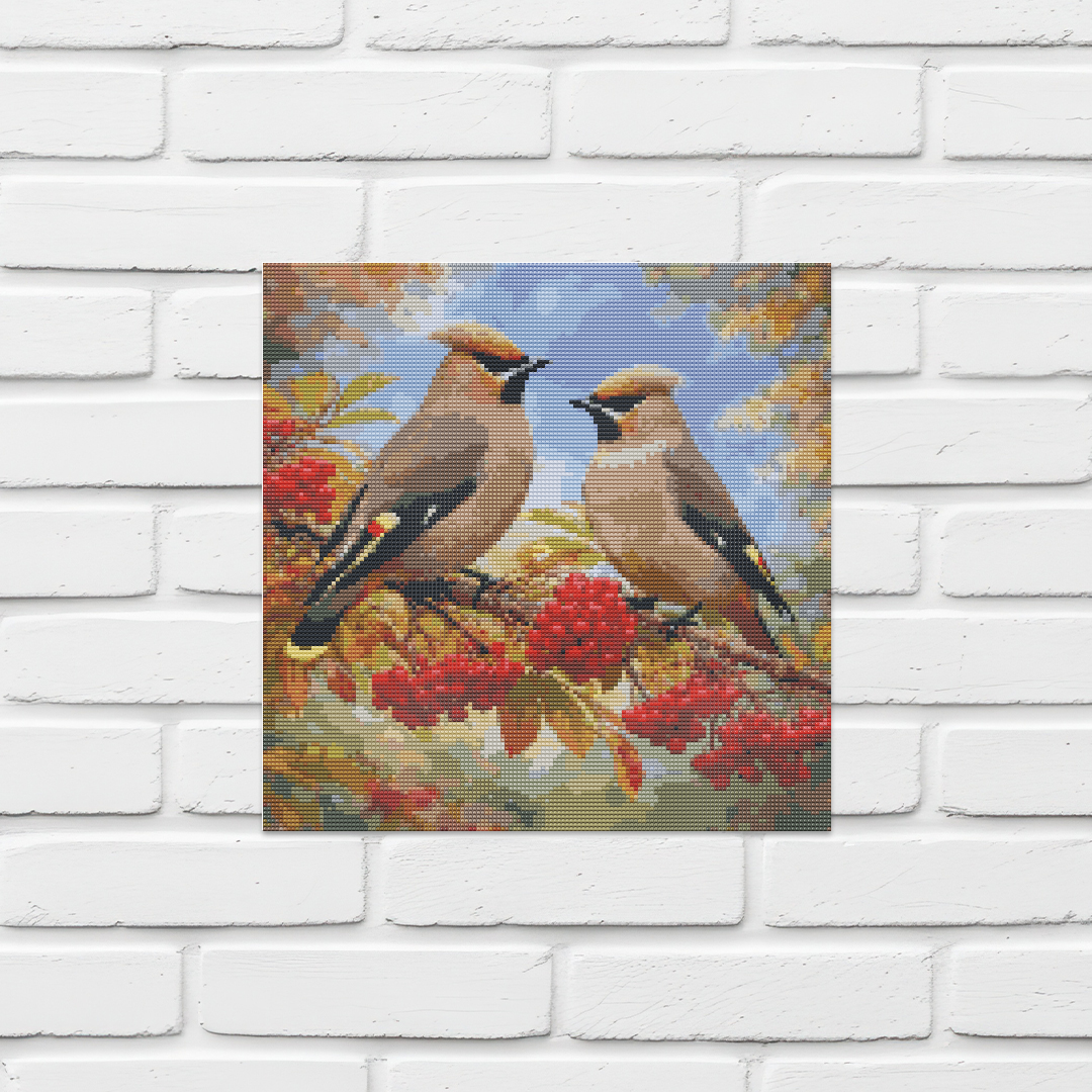 Bohemian Waxwing
