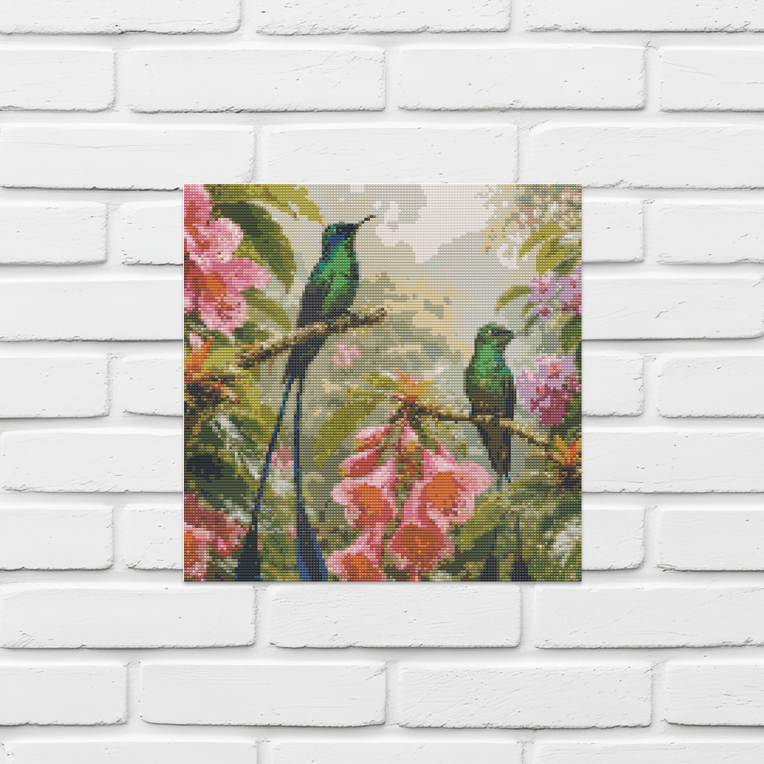 Long tailed Sylph
