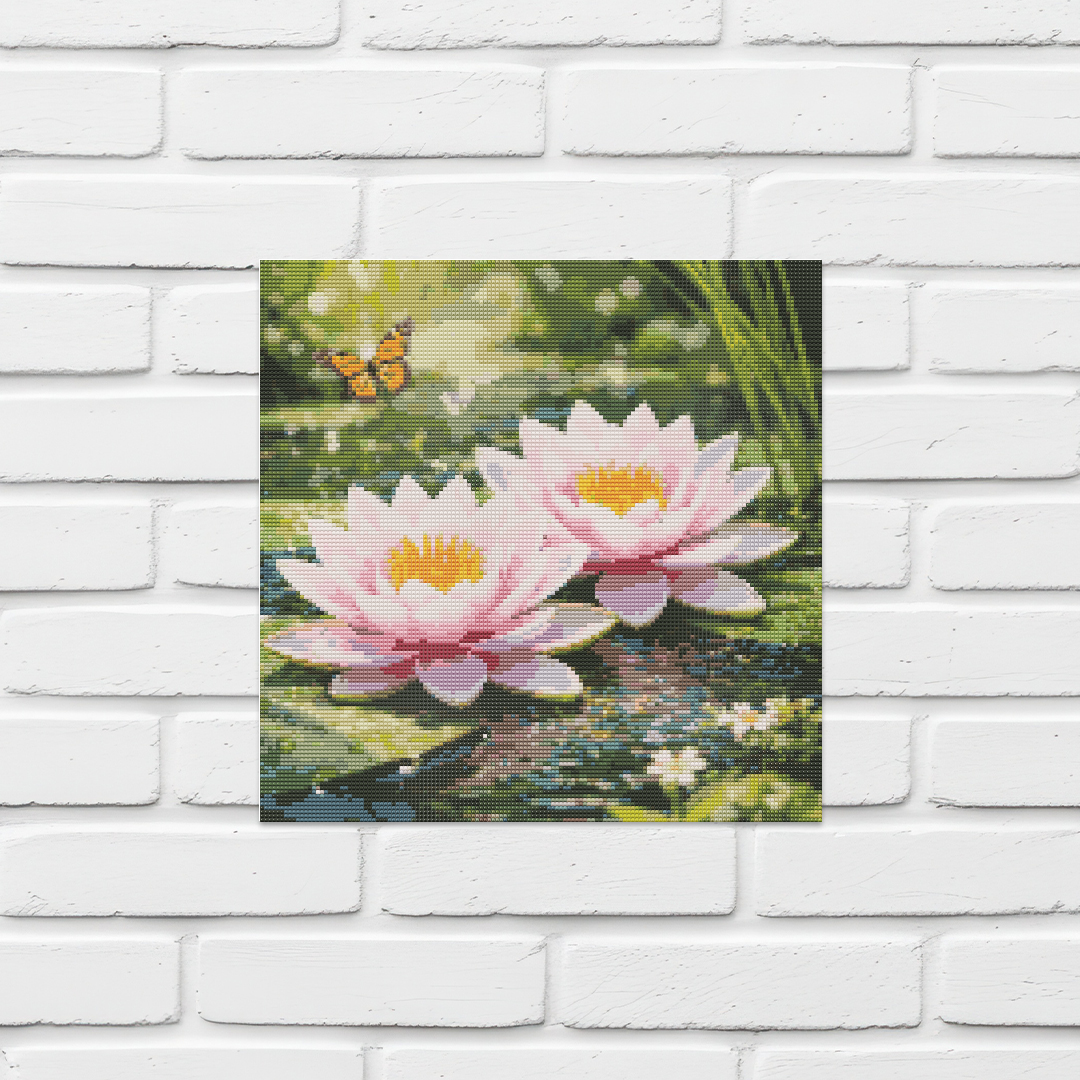 Water Lily