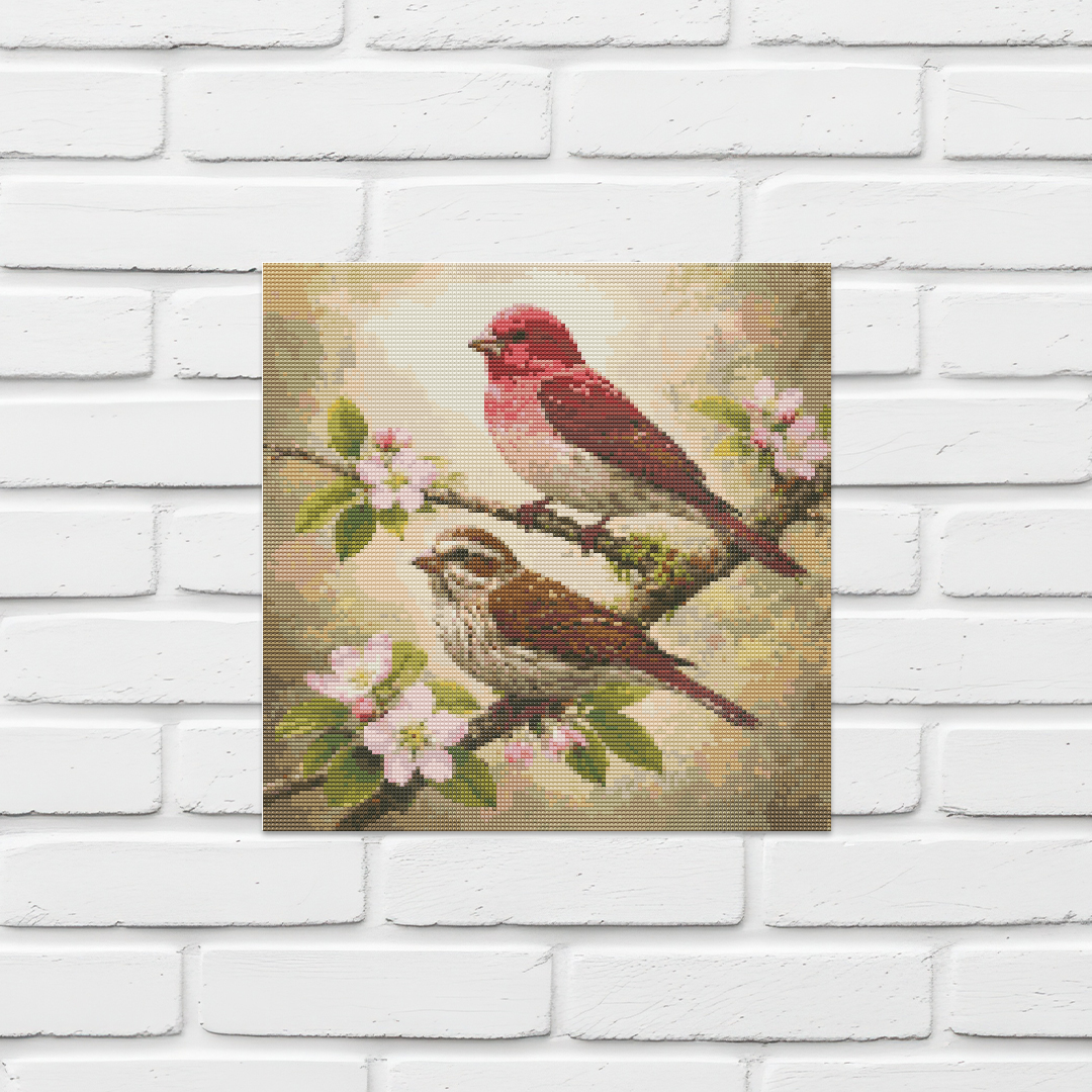 Purple Finch