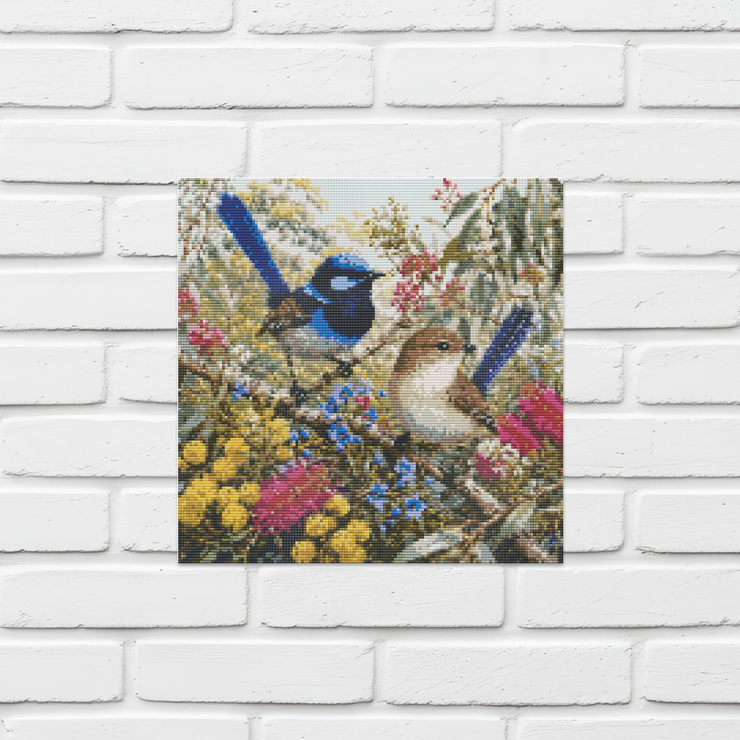 Splendid Fairywren