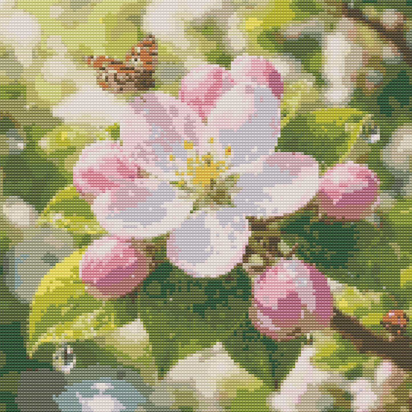 Apple Blossom