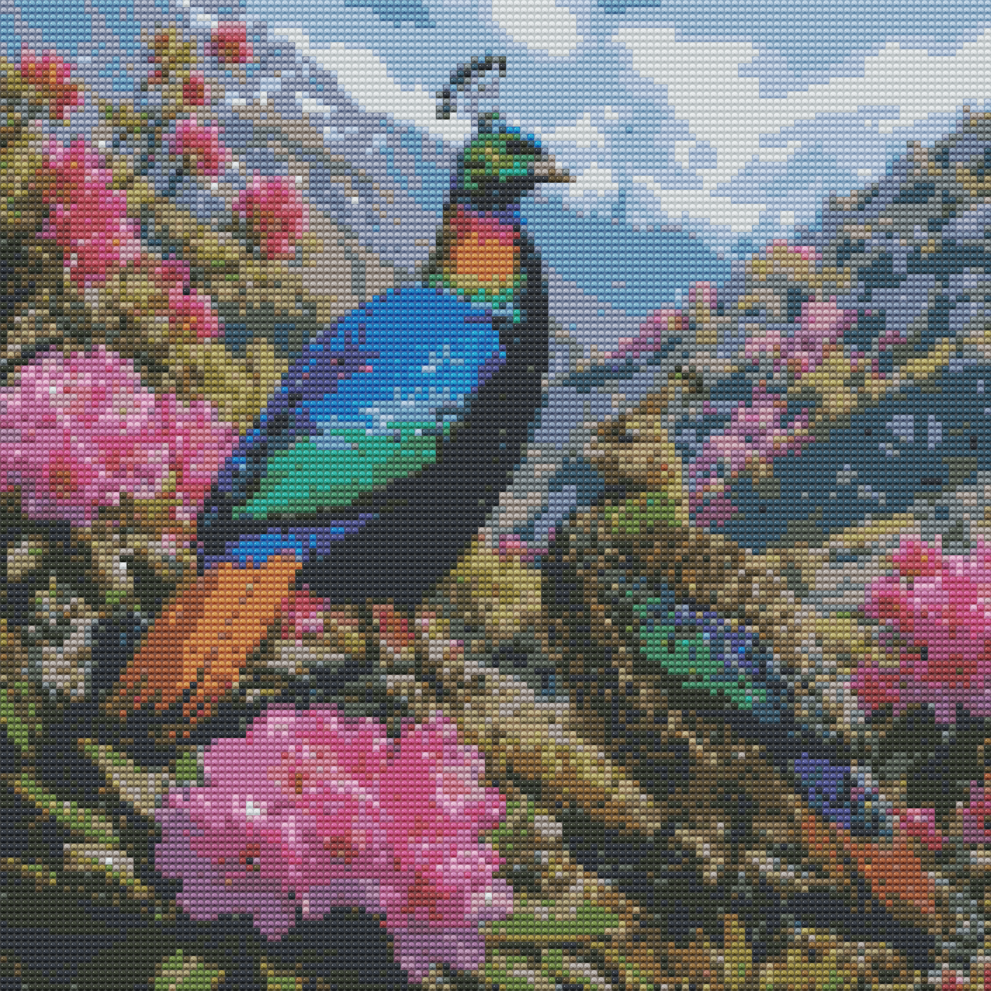 Himalayan monal