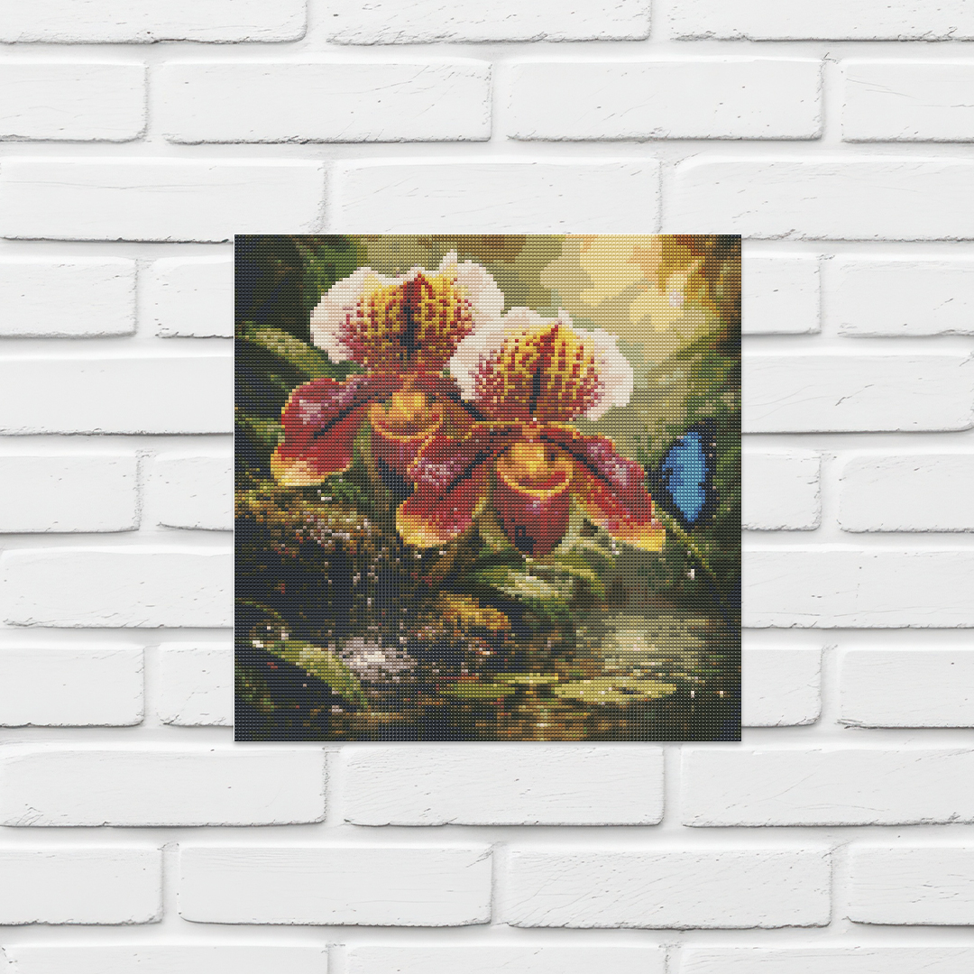 Ladys Slipper Orchid