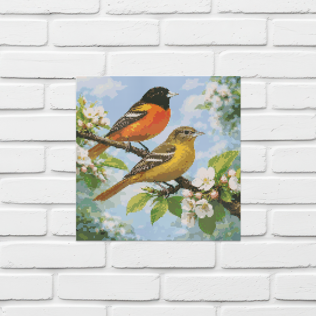 Baltimore Oriole