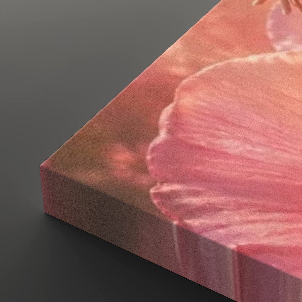 Canvas Prints Wall Art Petals of Life