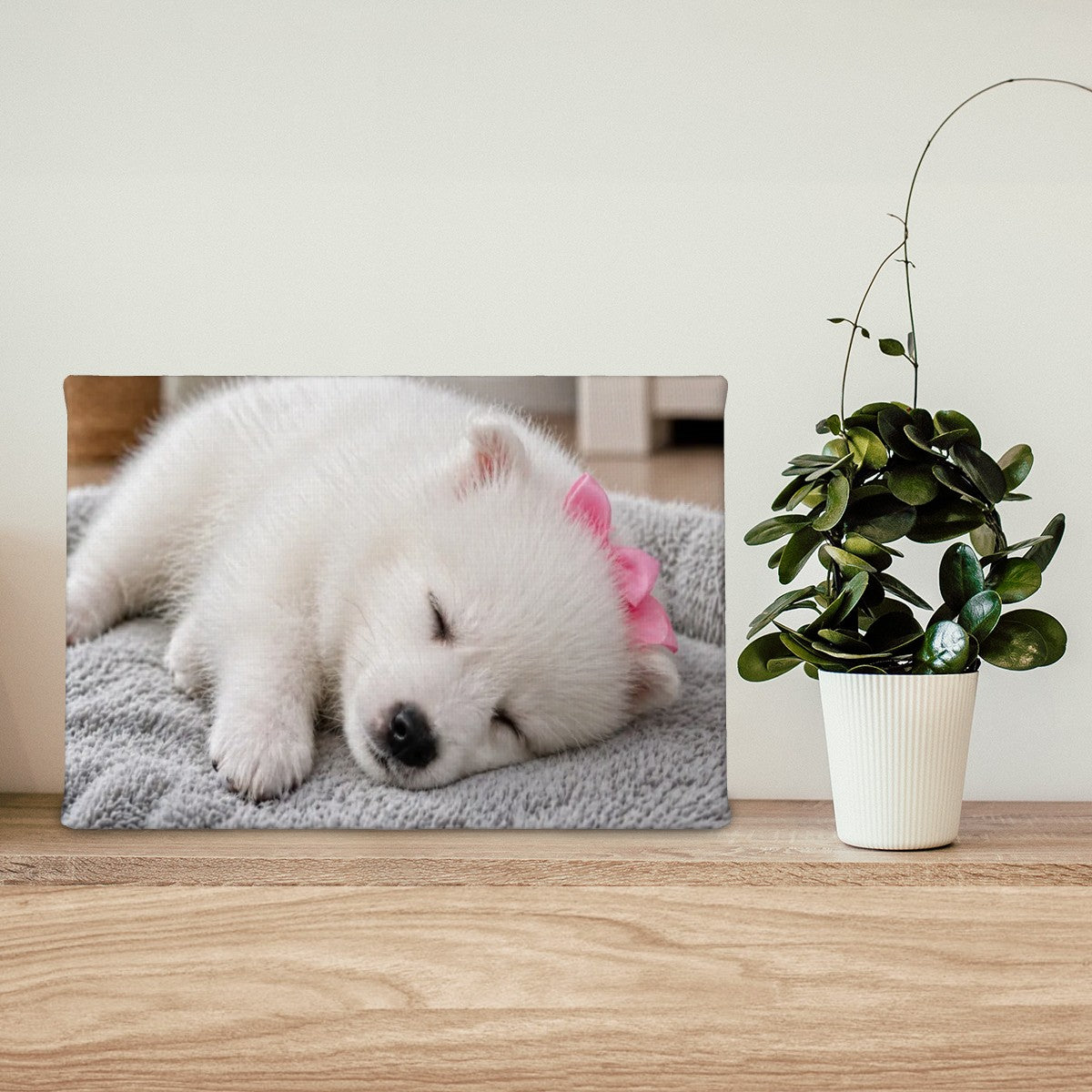 Small Canvas Prints Wall Art Decor Sadie