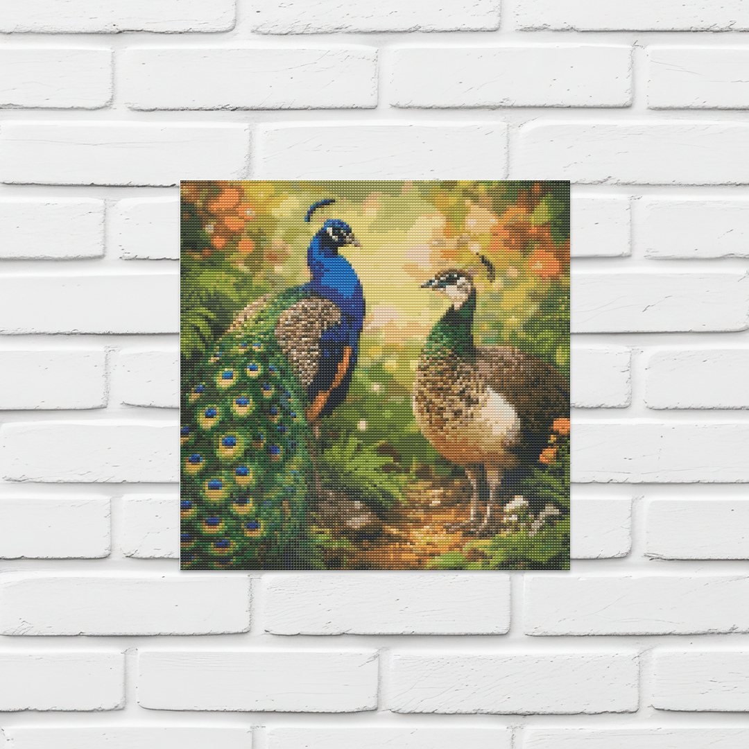 Indian Peafowl