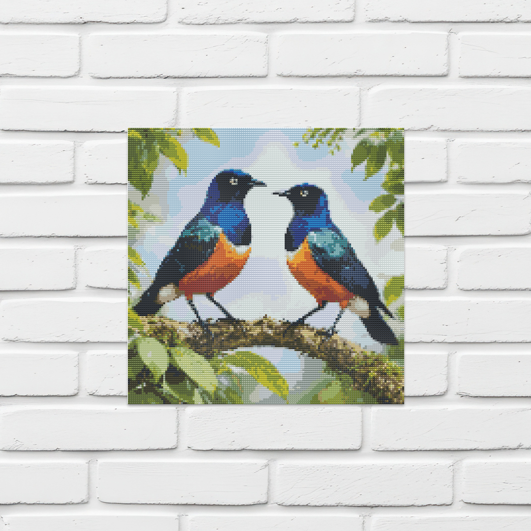Superb Starling