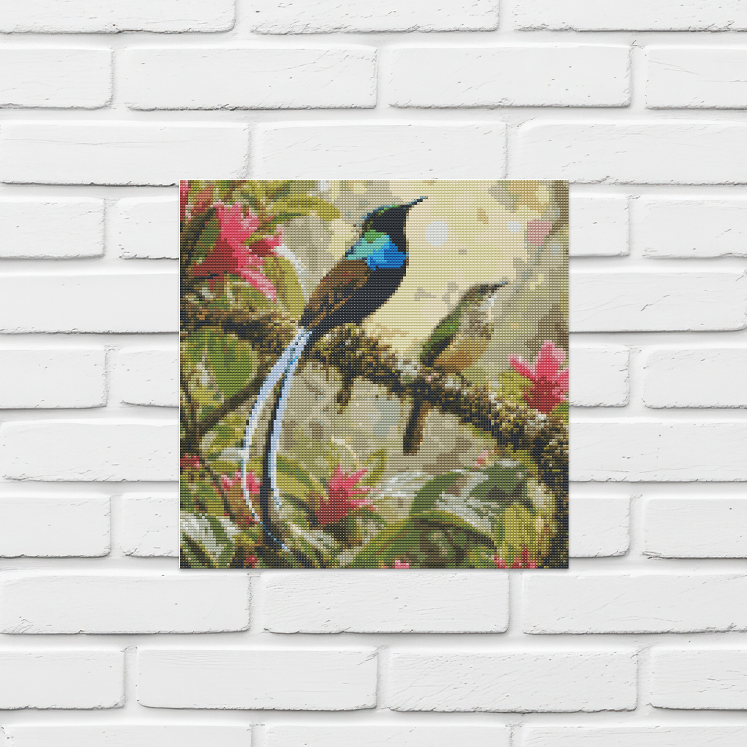 Ribbon-tailed Astrapia