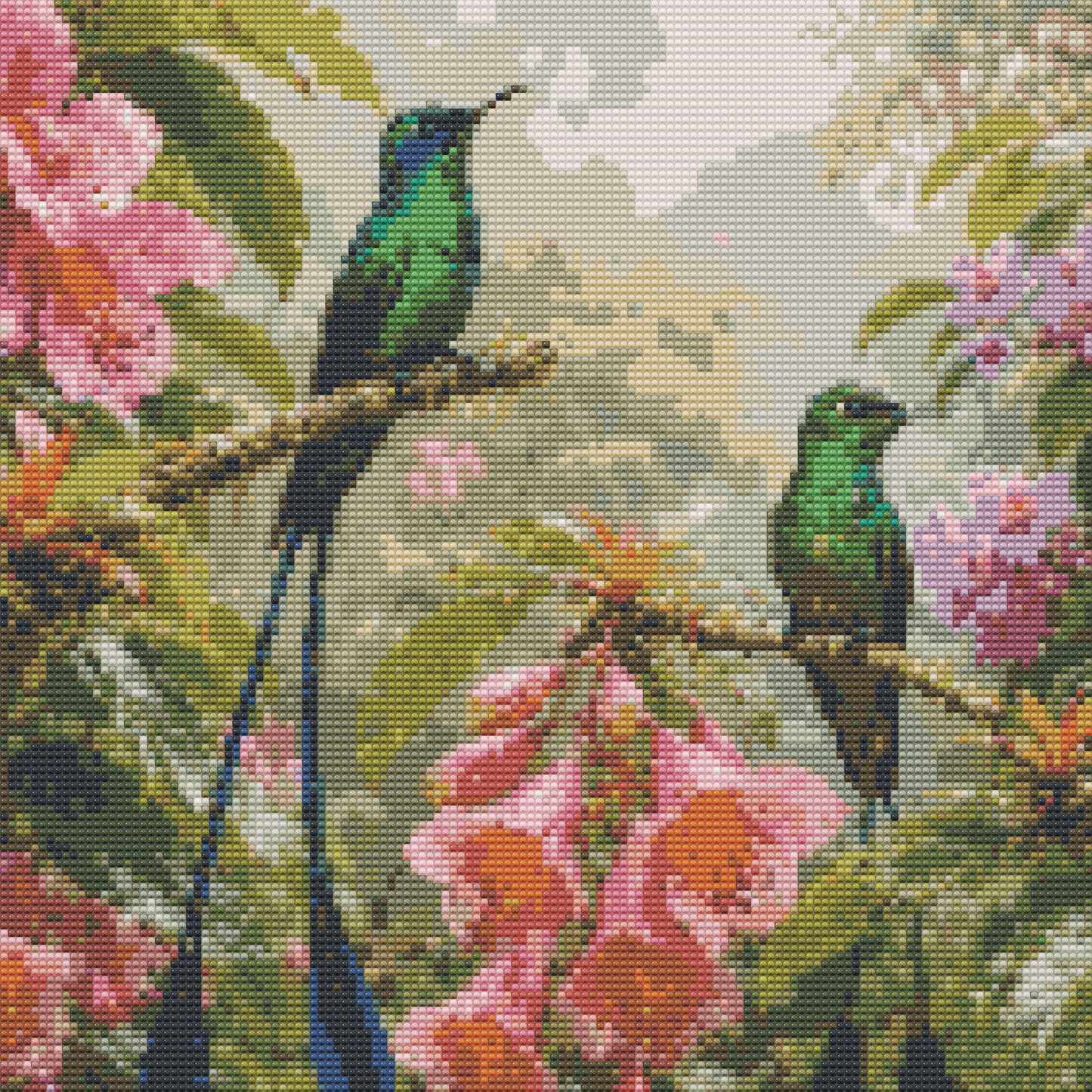 Long tailed Sylph