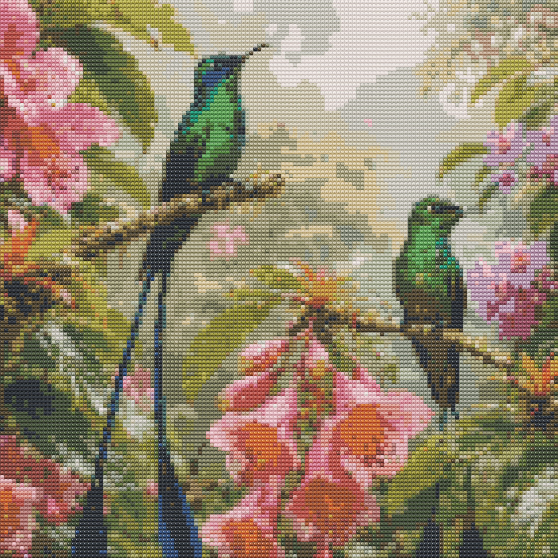 Long tailed Sylph