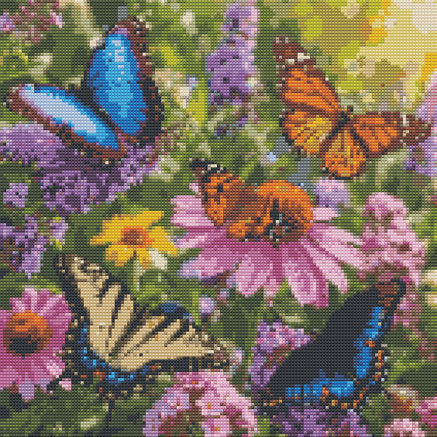 Butterflies