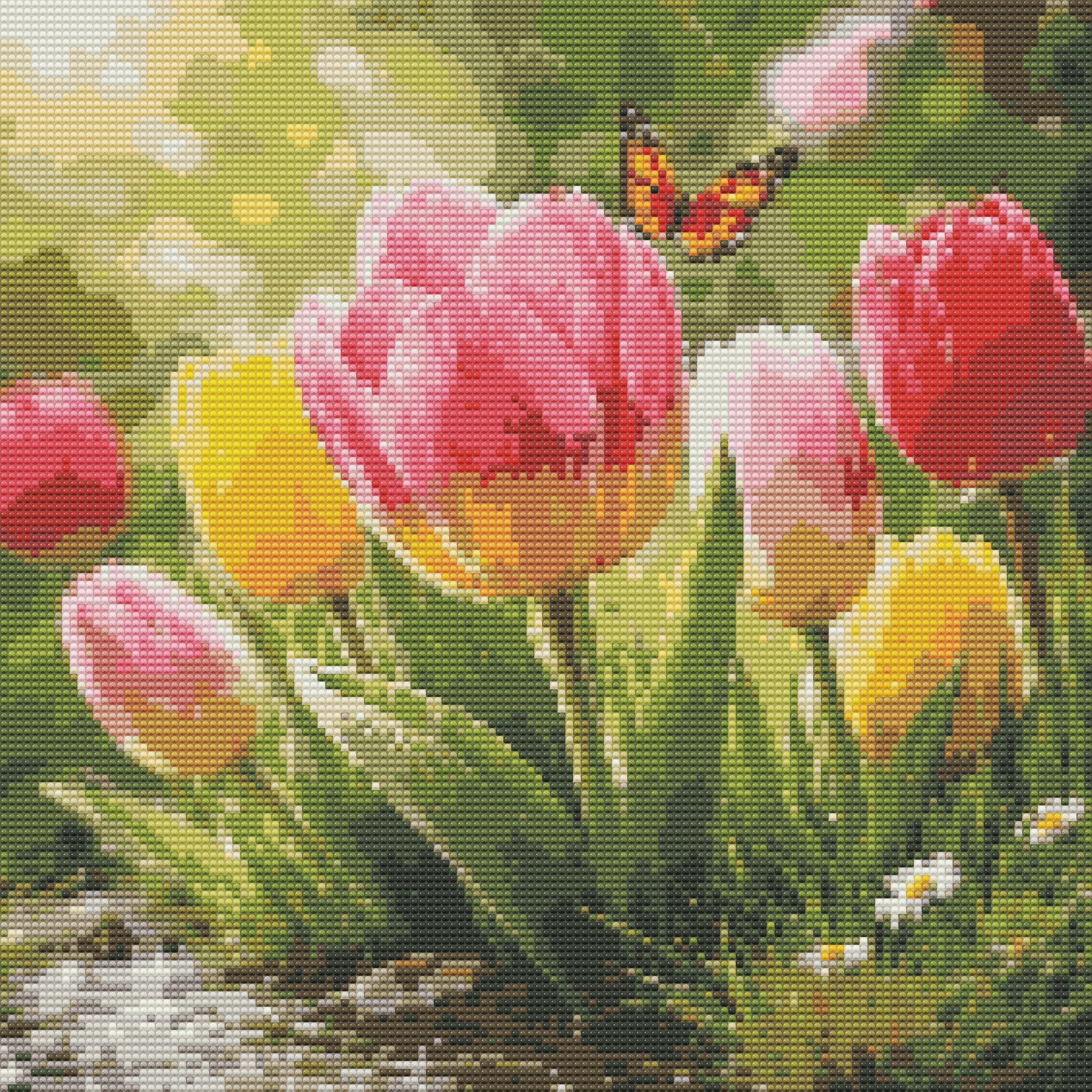 Tulips