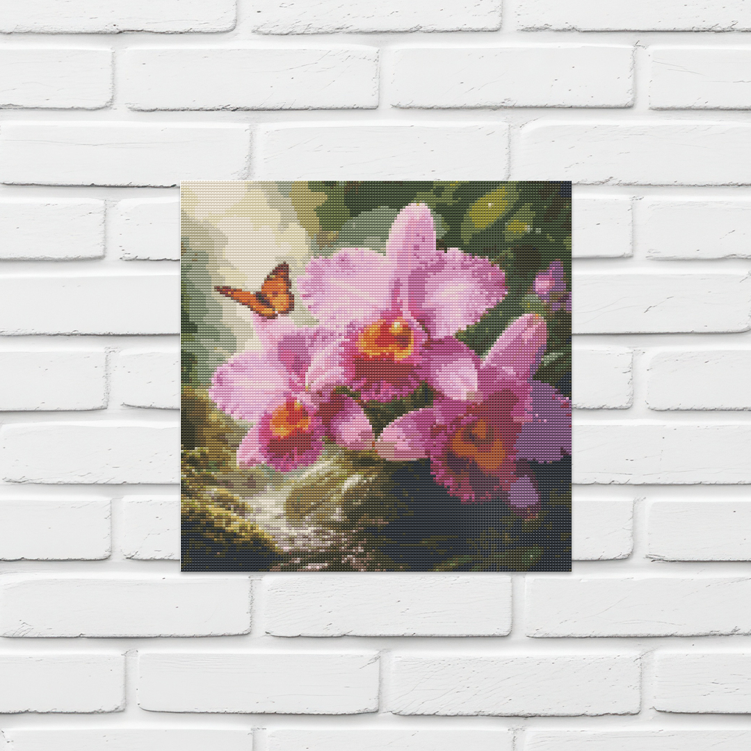 Magenta Cattleya Orchid