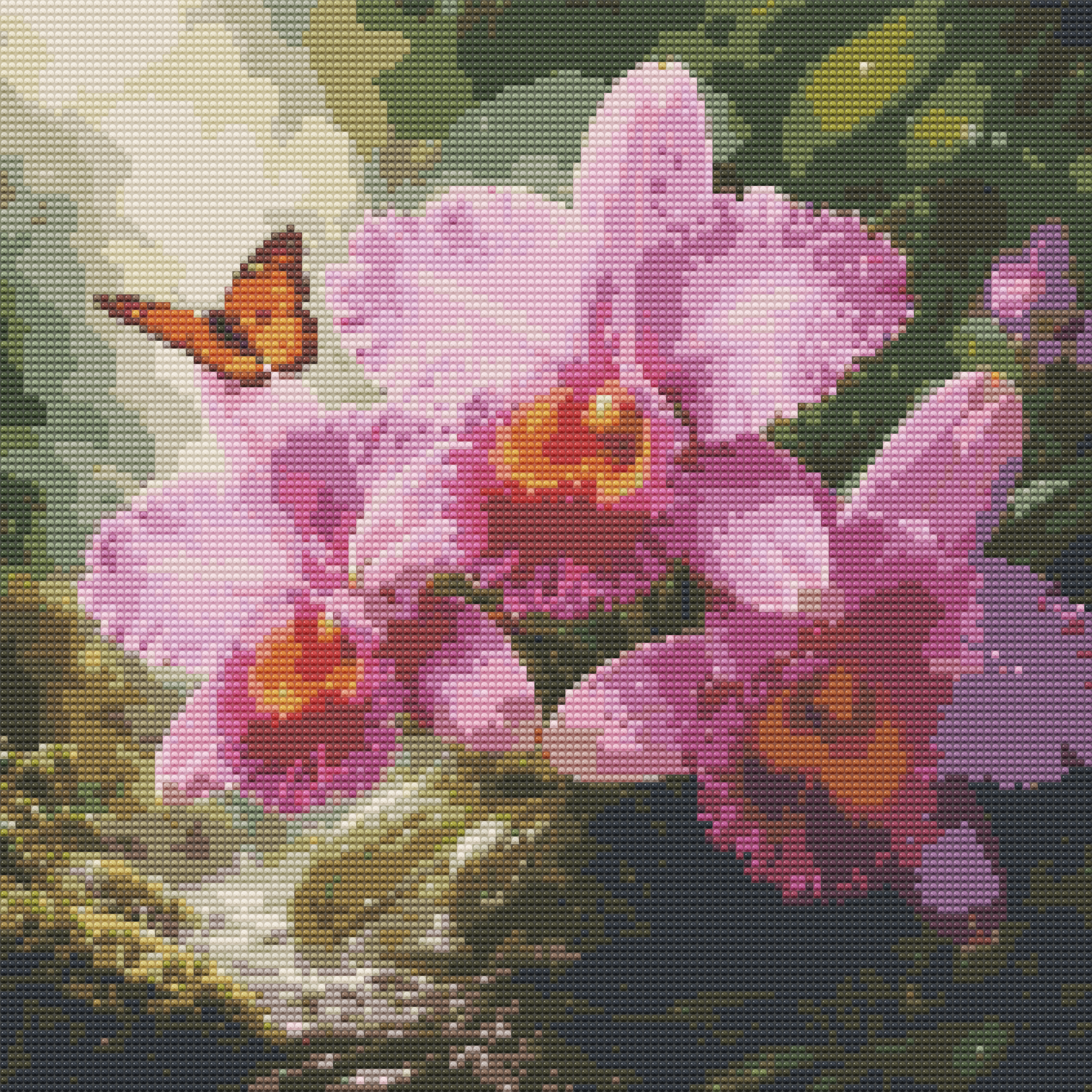 Magenta Cattleya Orchid