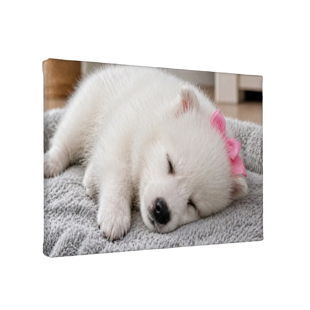 Small Canvas Prints Wall Art Decor Sadie