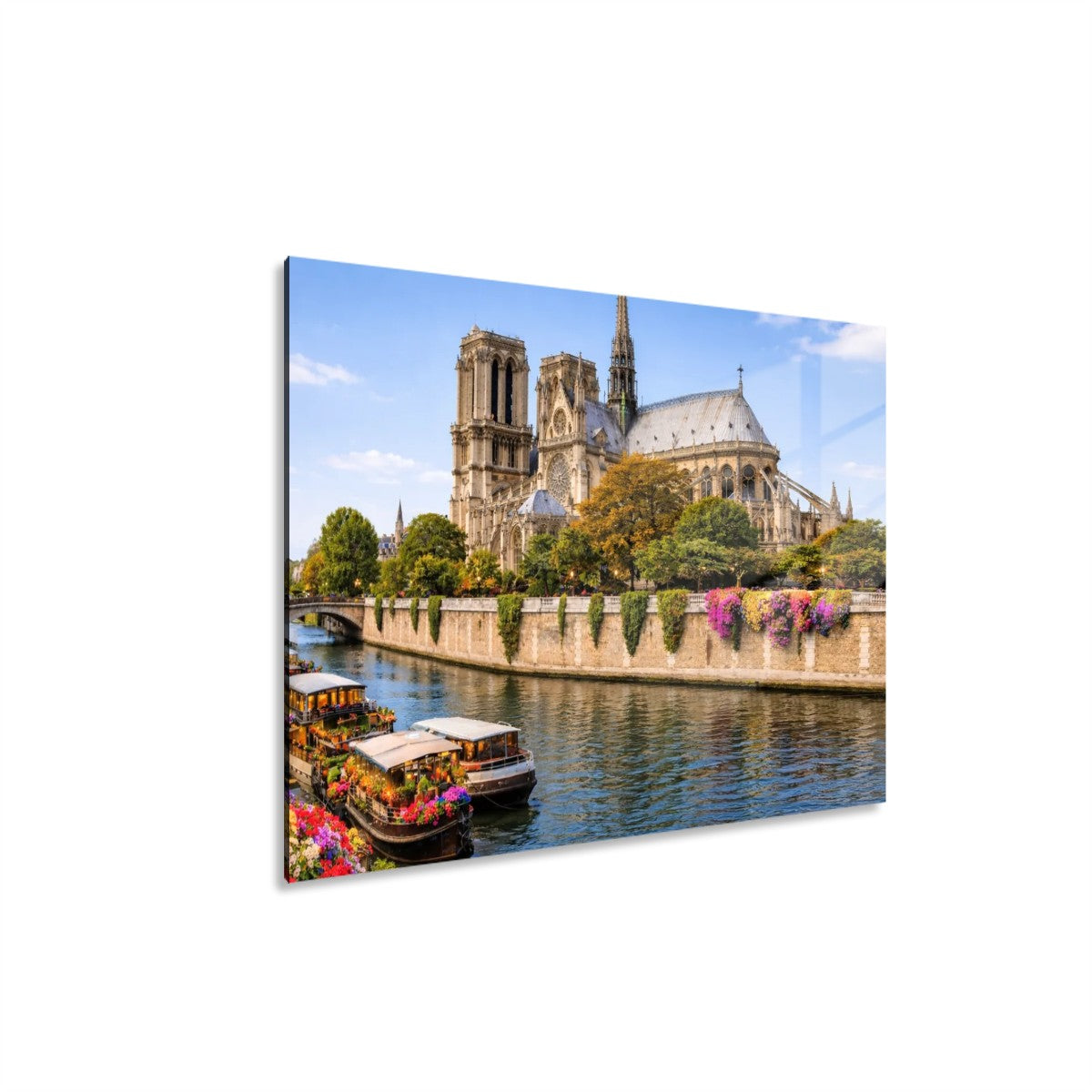 Rectangular Acrylic Wall Art Prints with Hook Notre-Dame de Paris France