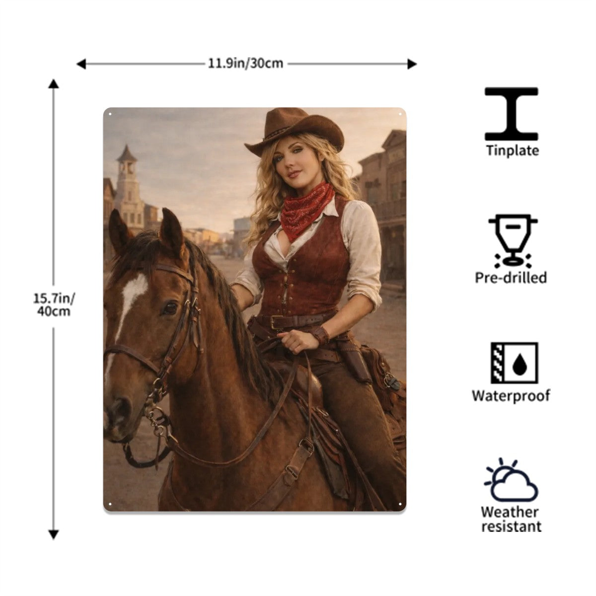Tin Sign Metal Sign American West Cowgirl