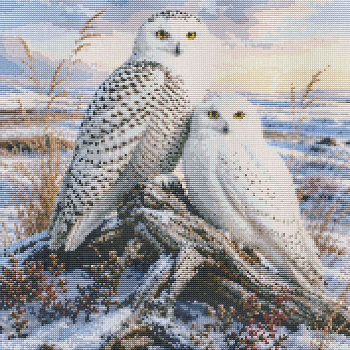 Diamond Painting Kit 20"x20" Snowy Owl (Round)