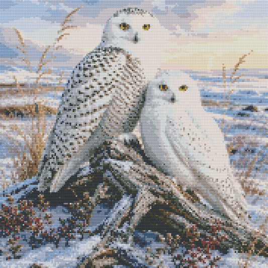 Diamond Painting Kit 20"x20" Snowy Owl (Round)