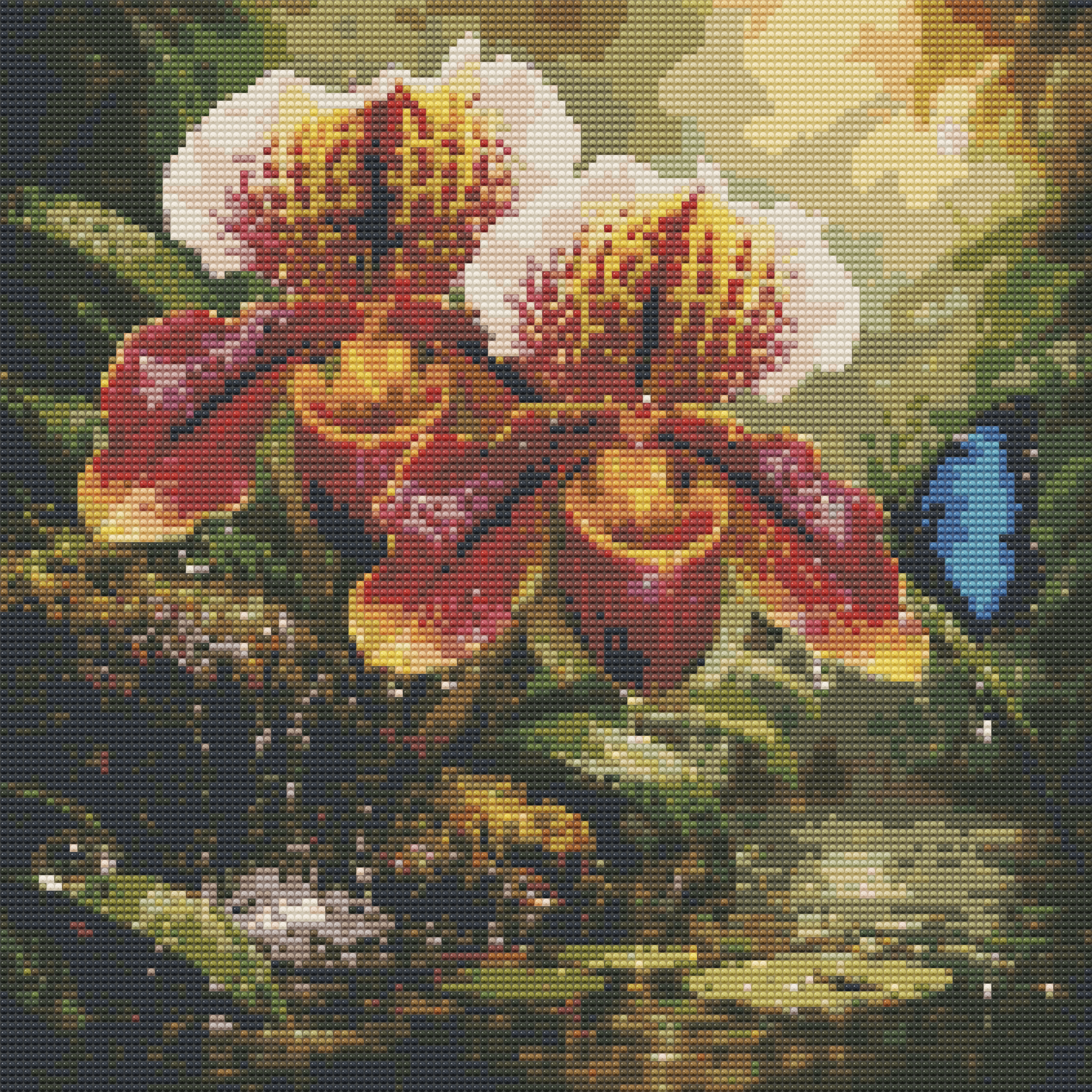Ladys Slipper Orchid