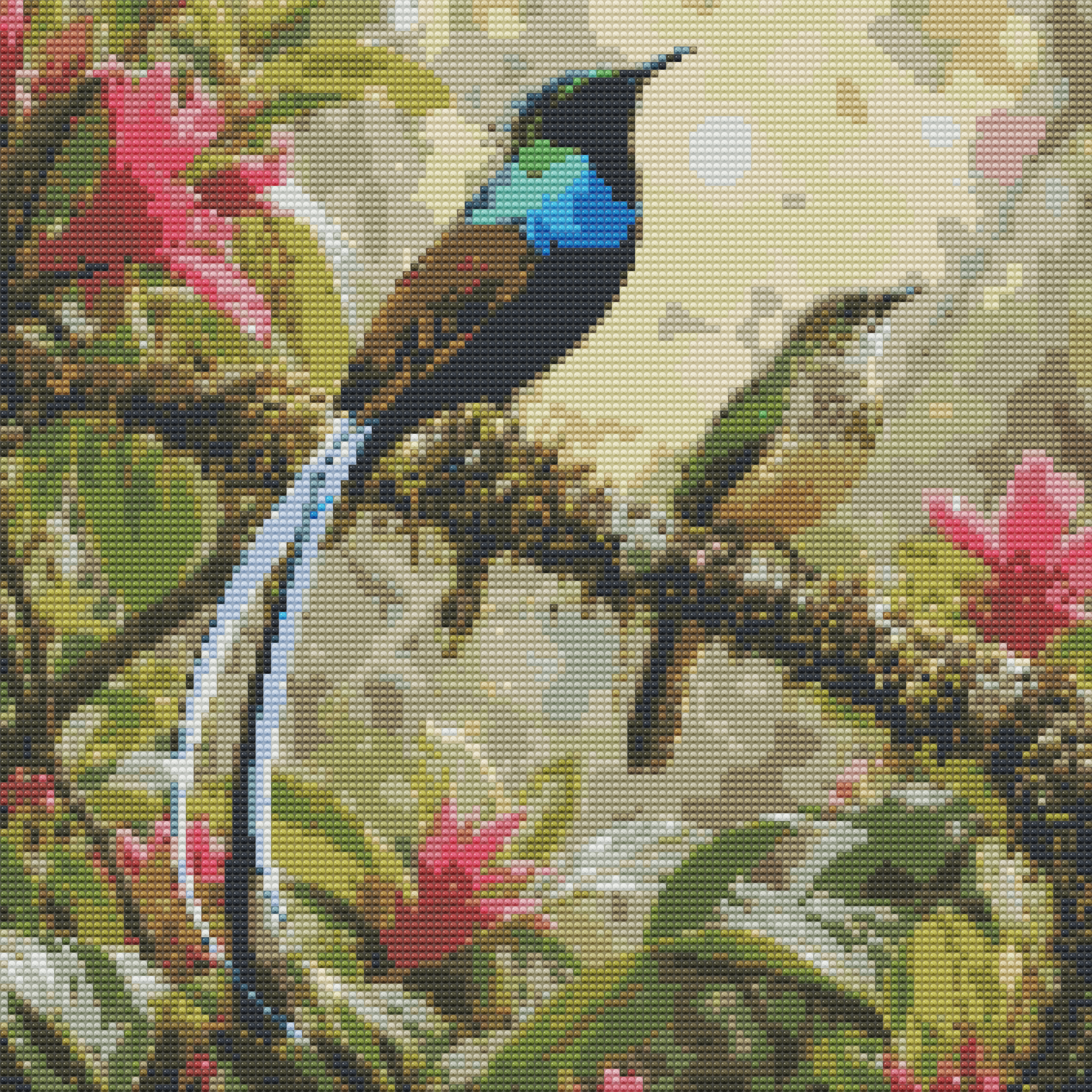 Ribbon-tailed Astrapia
