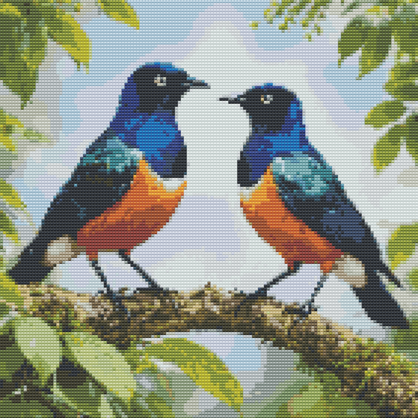 Superb Starling