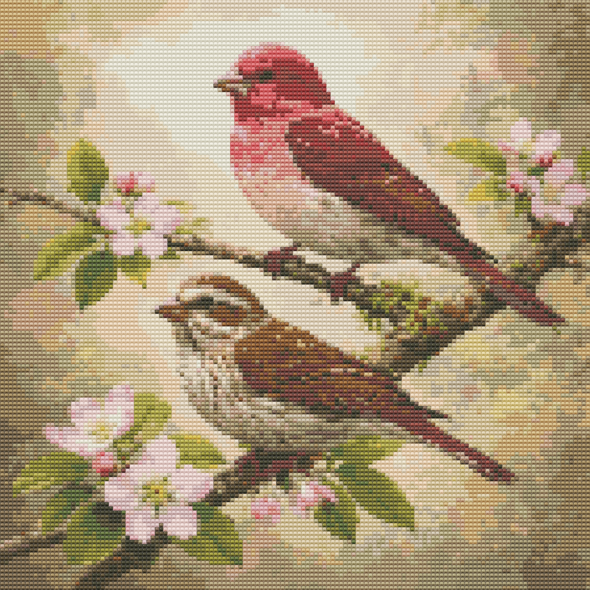 Purple Finch