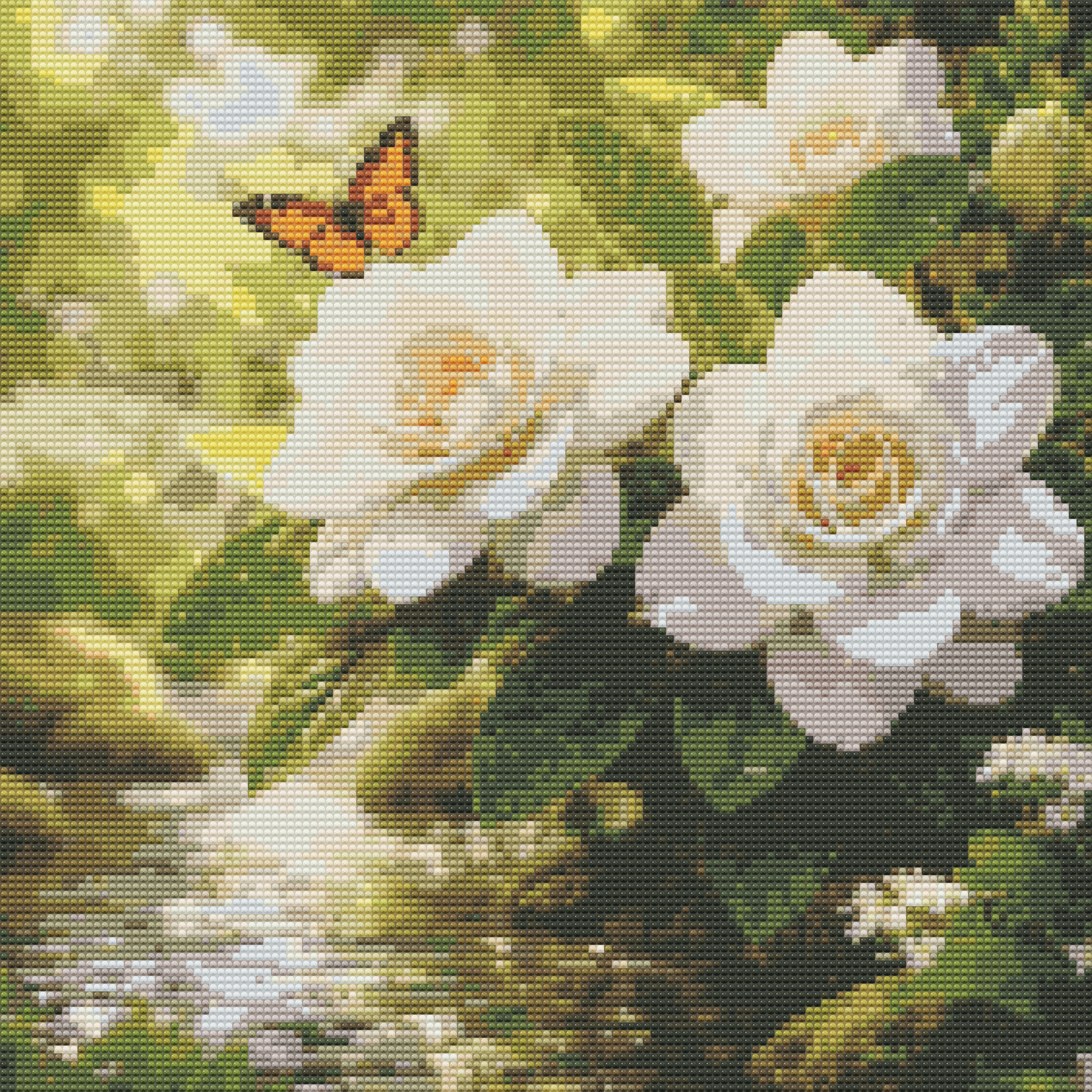 Gardenia