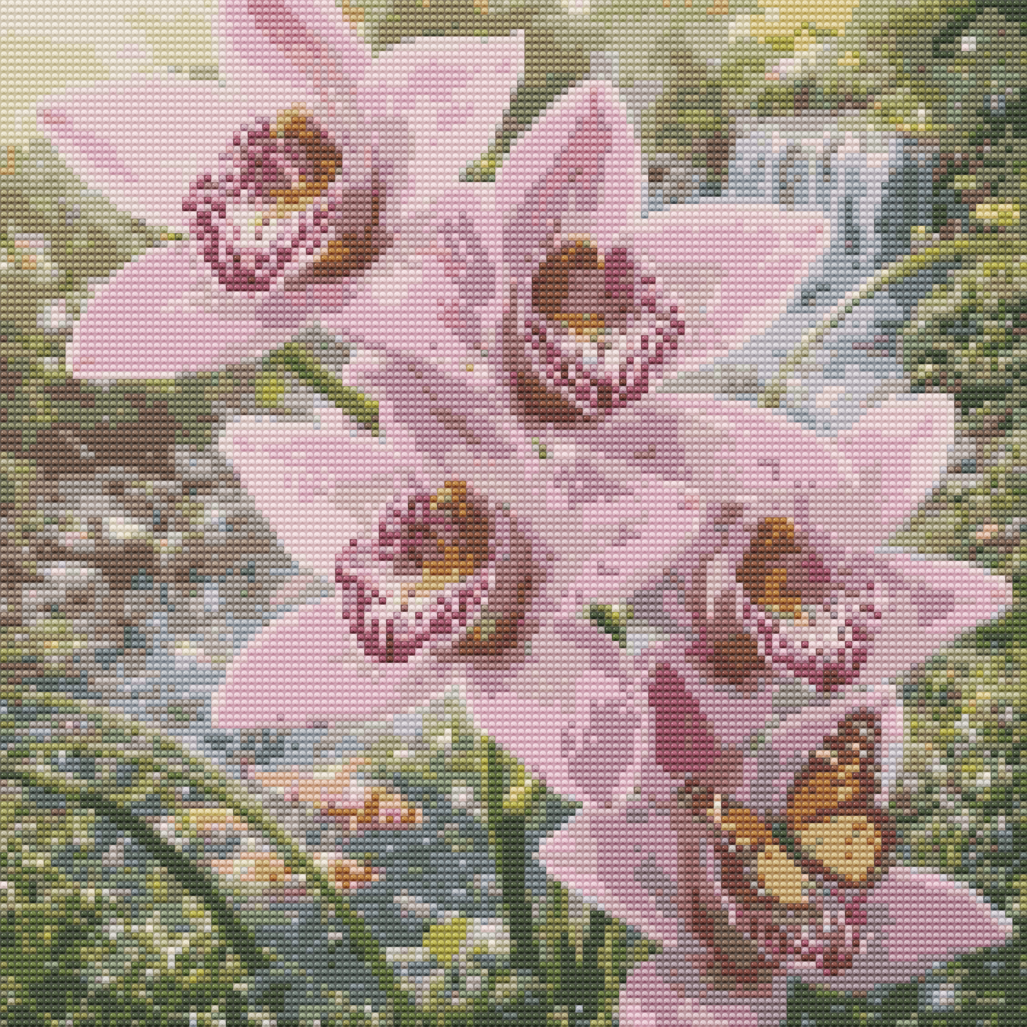 Cymbidium Orchid