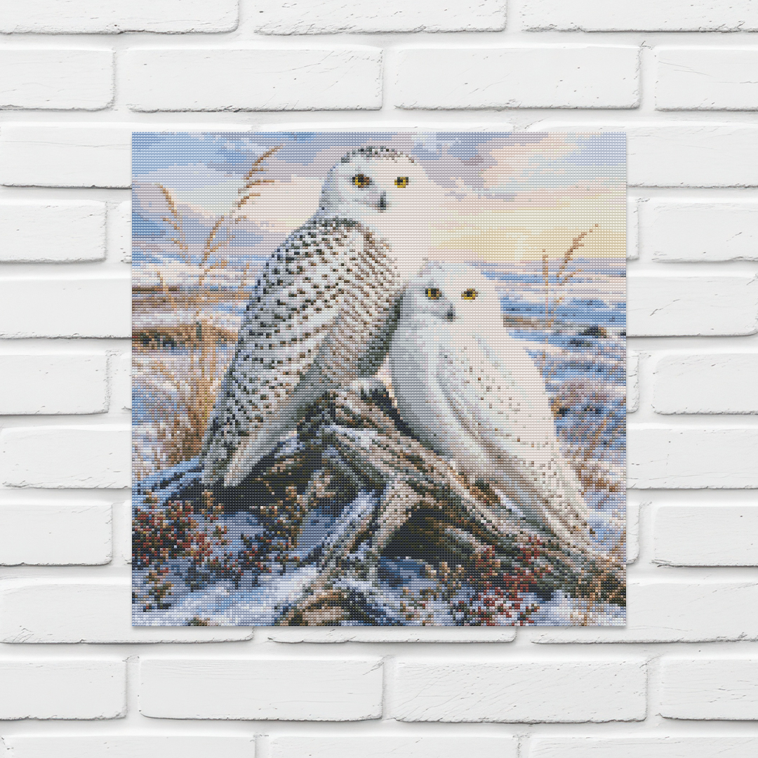 Diamond Painting Kit 20"x20" Snowy Owl (Round)