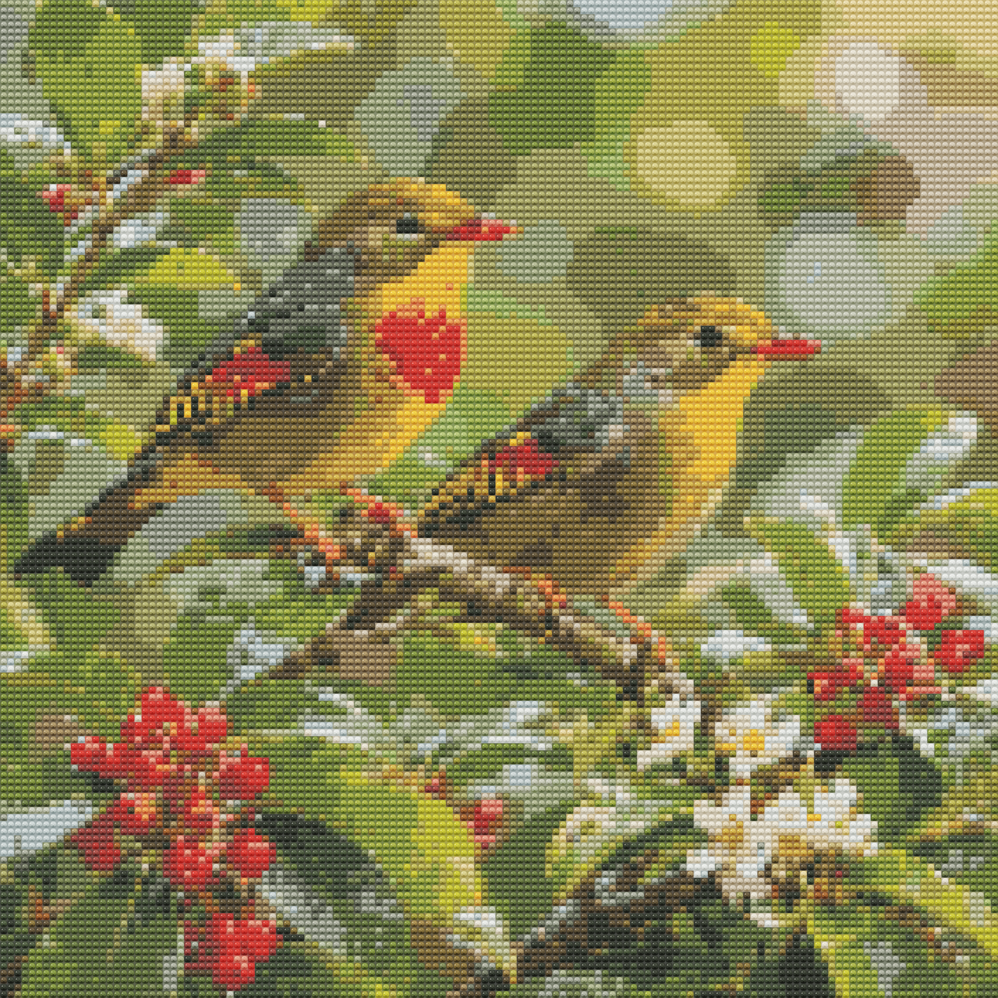Red-billed Leiothrix
