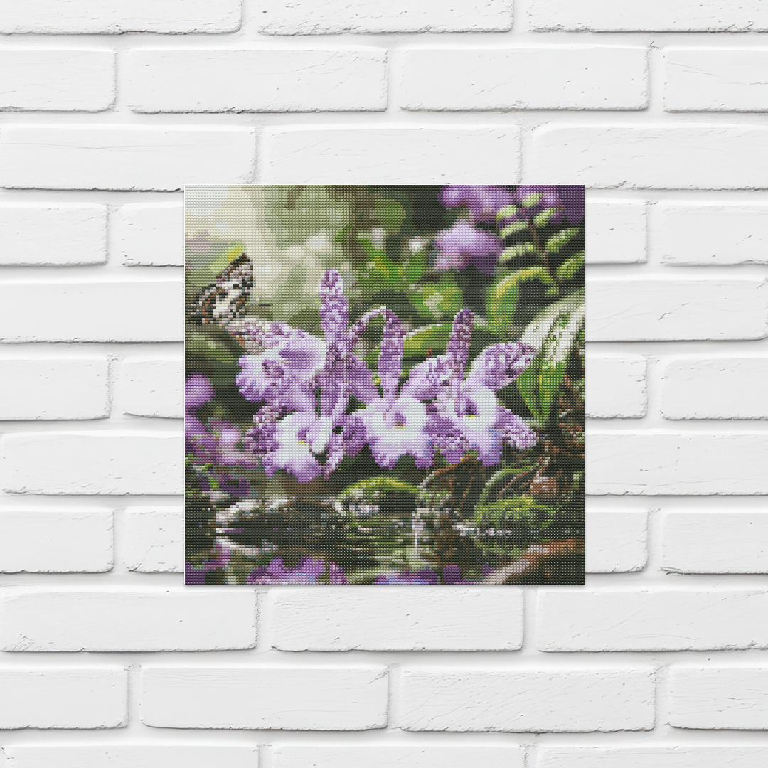 Corsage Orchid