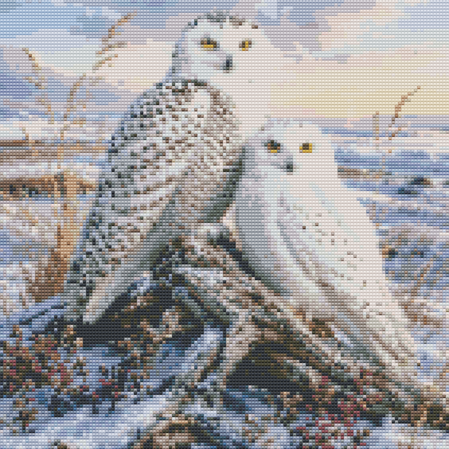 Snowy Owl
