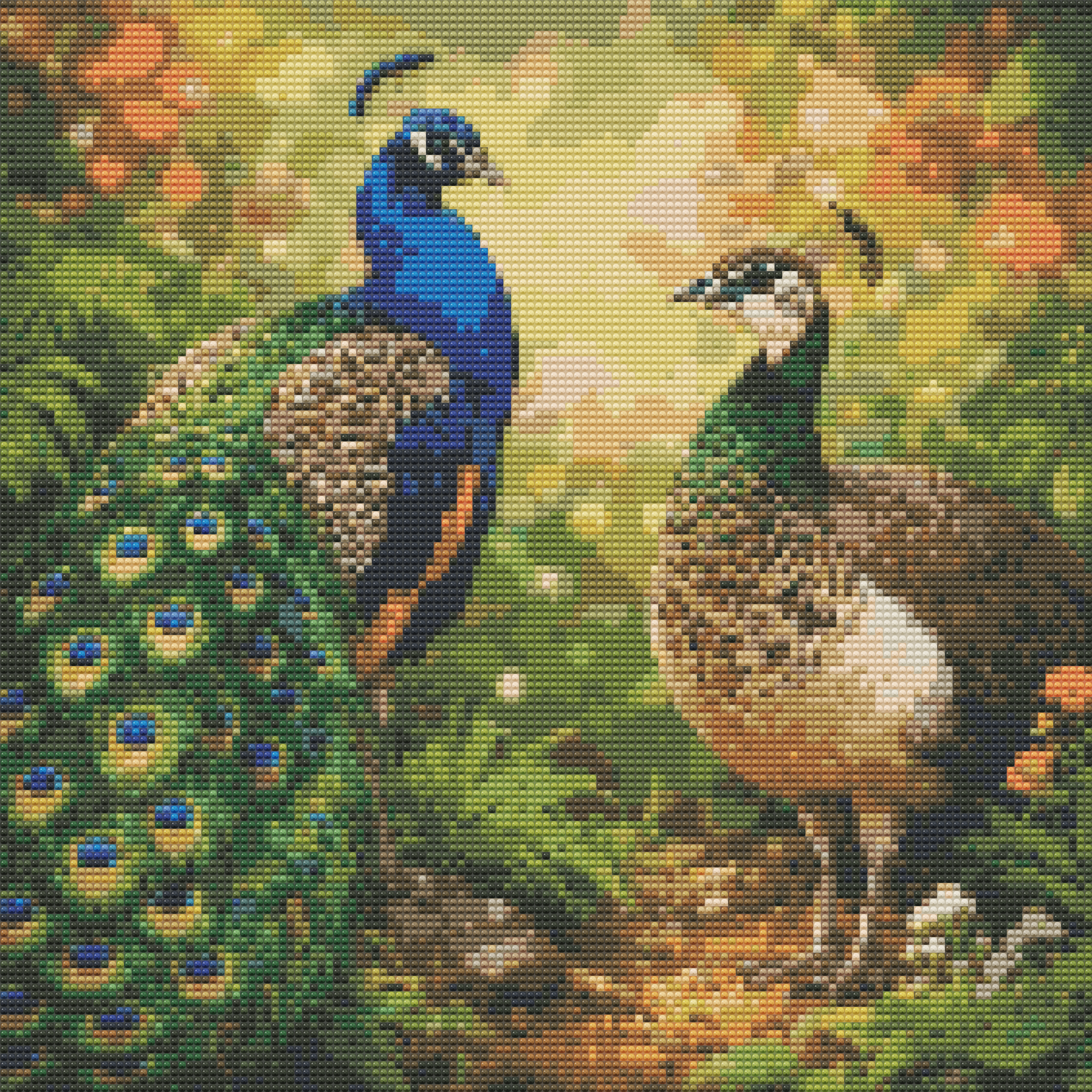 Indian Peafowl