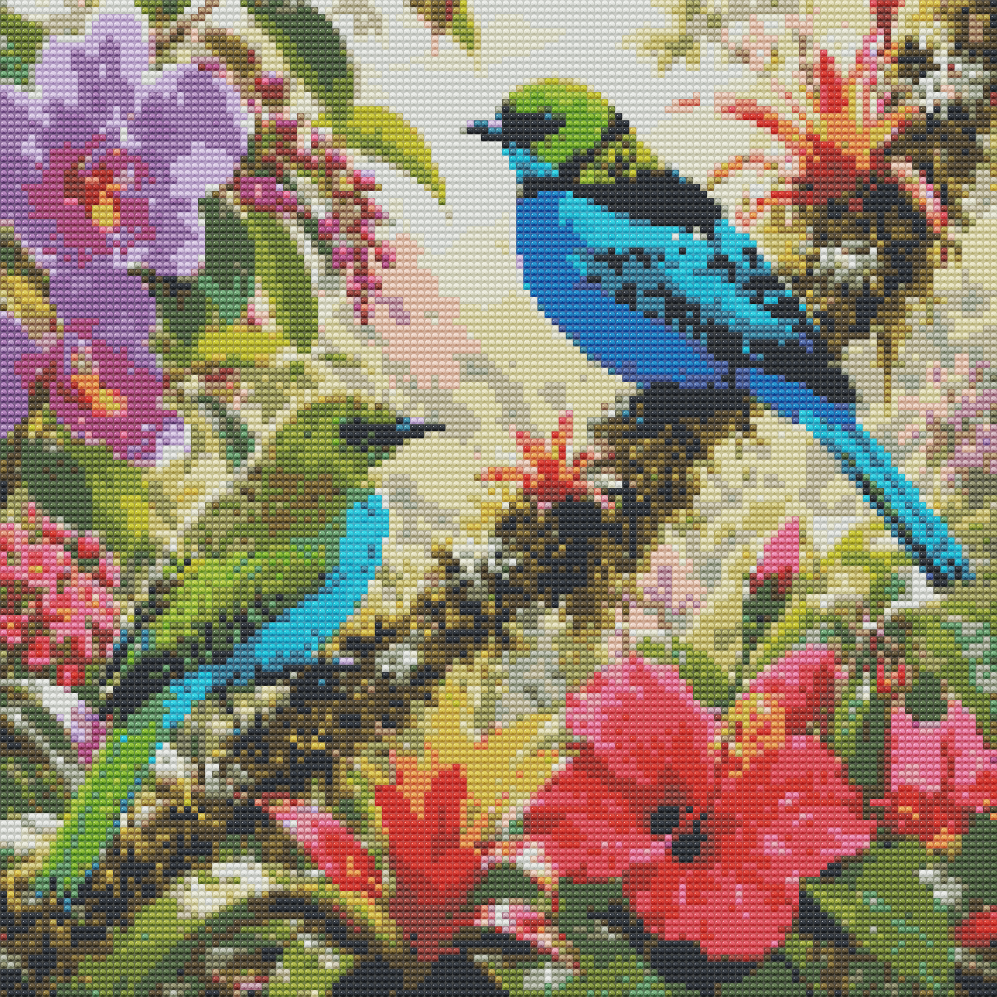 Paradise Tanager