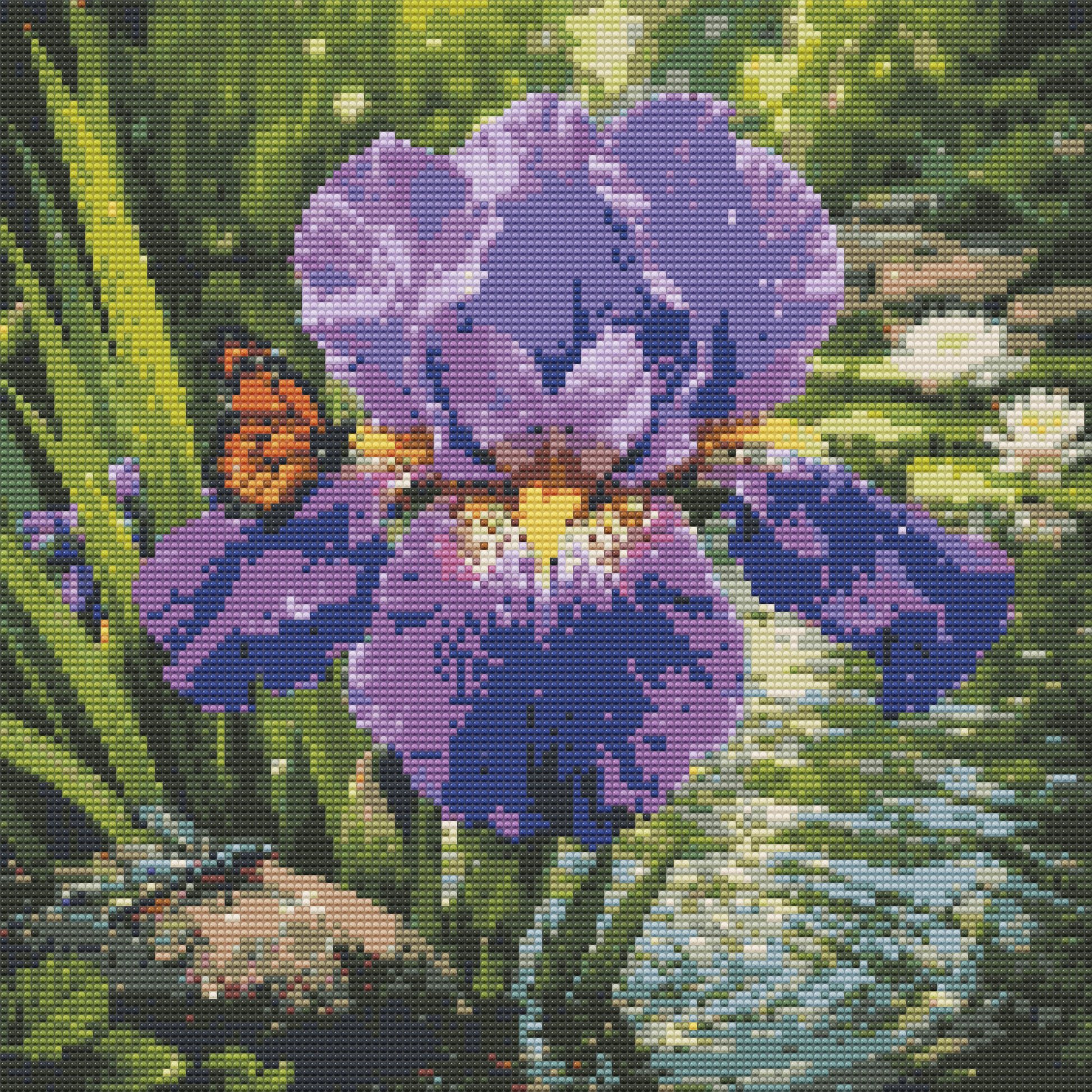 Iris