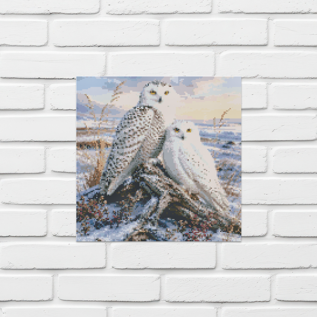 Snowy Owl