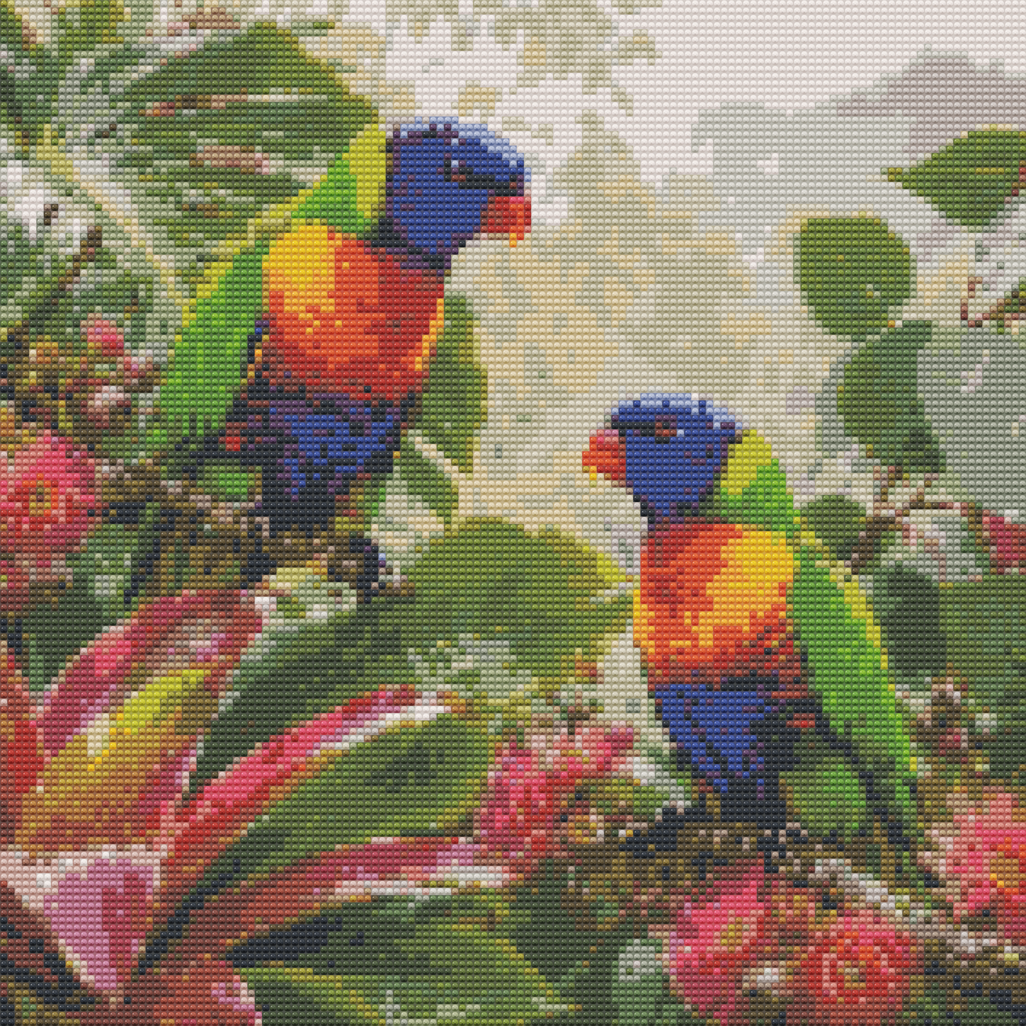 Rainbow Lorikeet