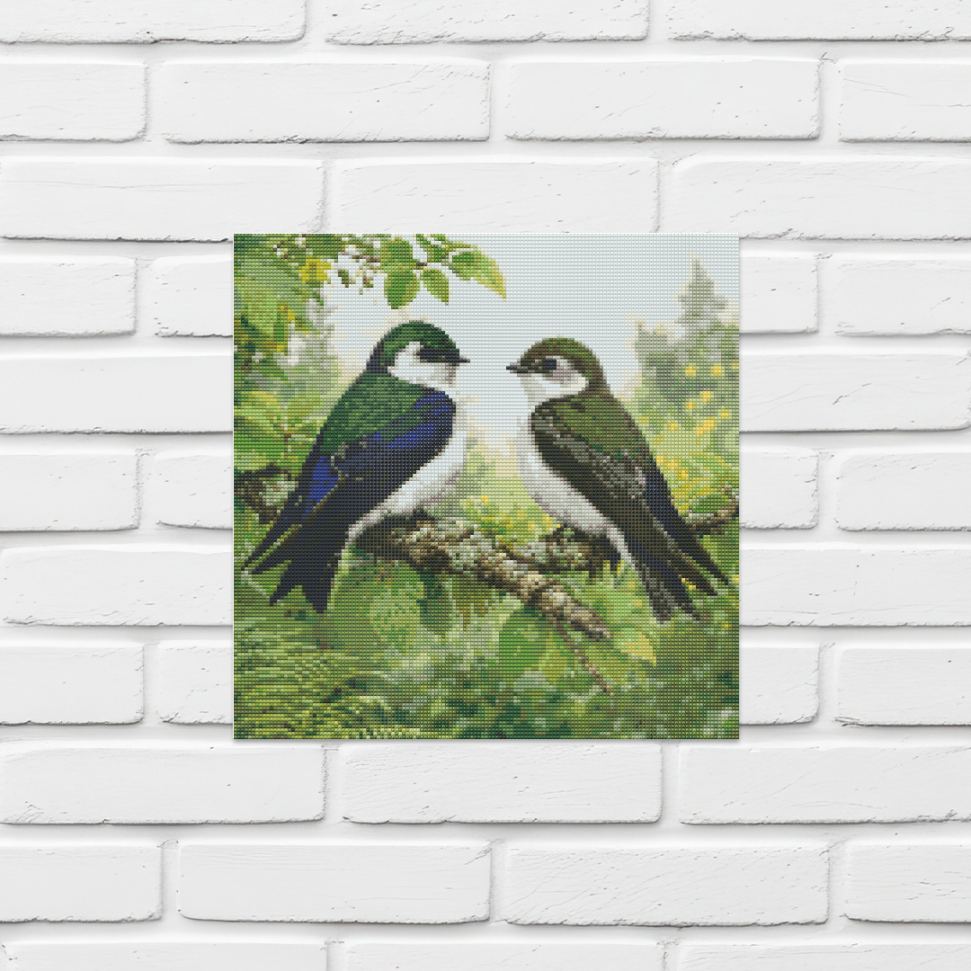 Violet Green Swallow