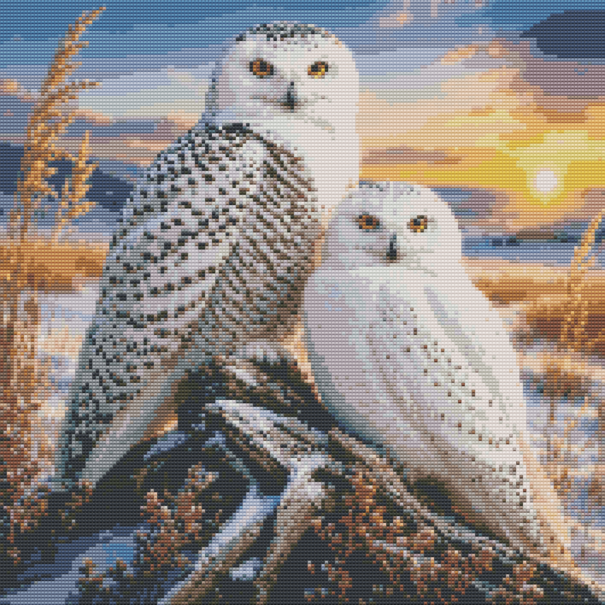 Diamond Painting Kit 20"x20" Snowy Owl (Round)