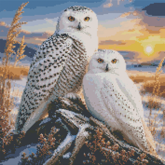 Diamond Painting Kit 20"x20" Snowy Owl (Round)