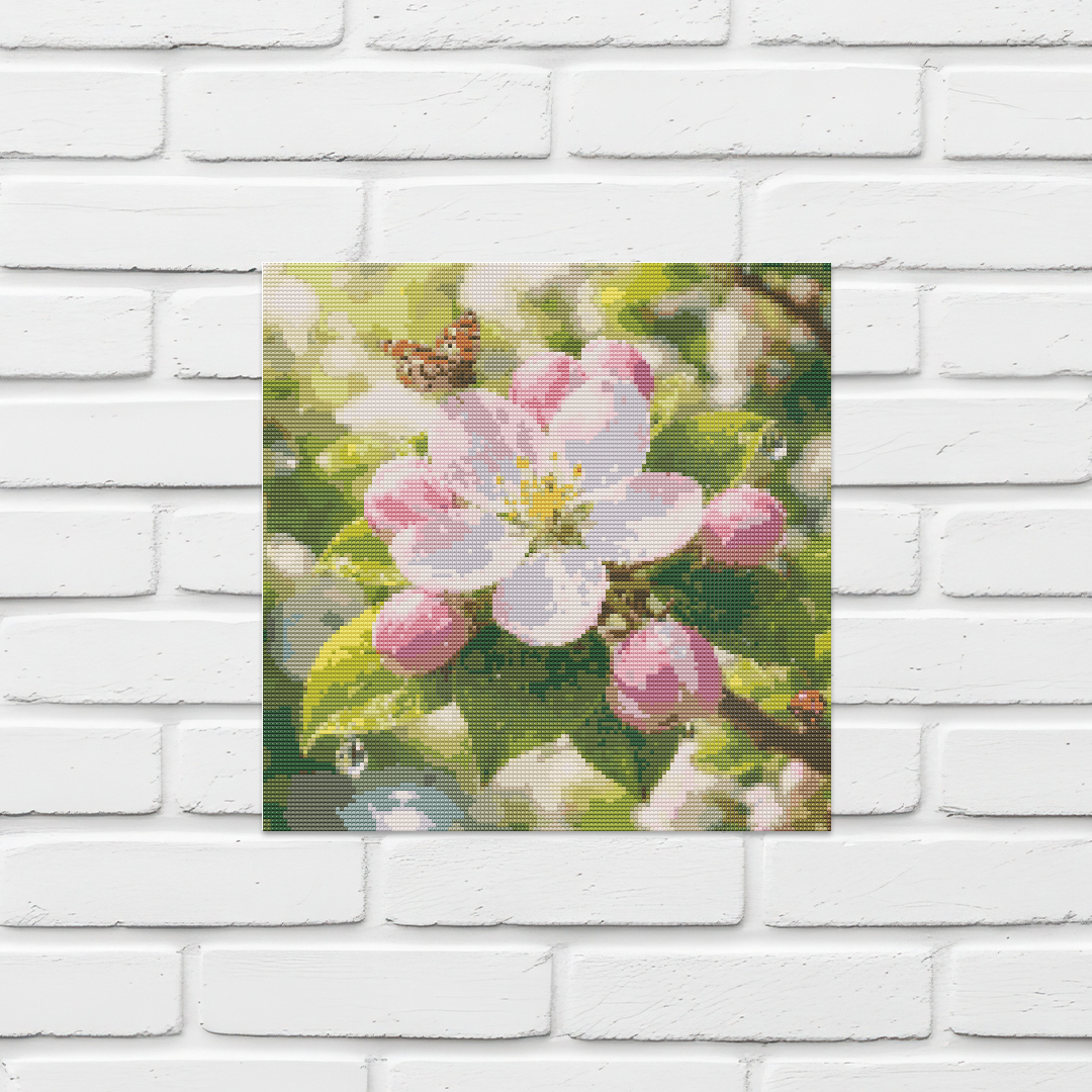 Apple Blossom