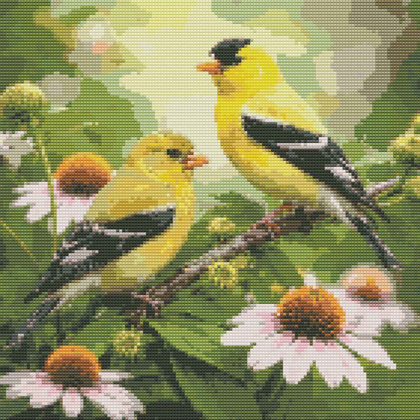 American Goldfinch