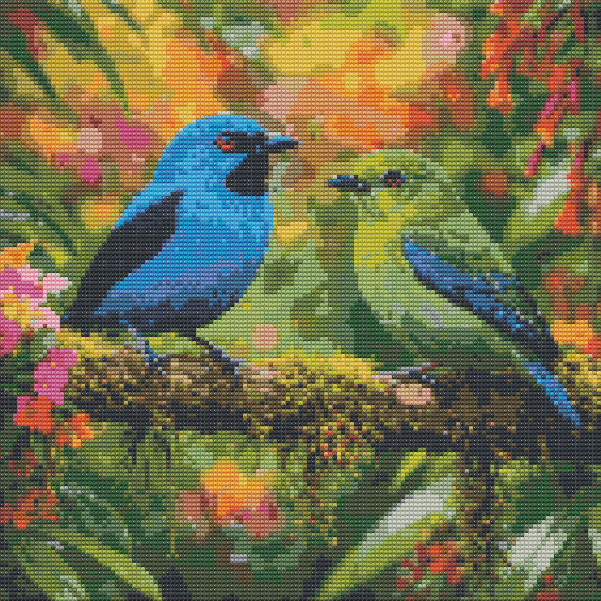 Blue Dacnis