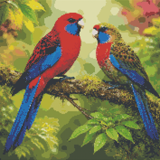 Diamond Painting Kit 20"x20" Crimson Rosella (Round Drills)