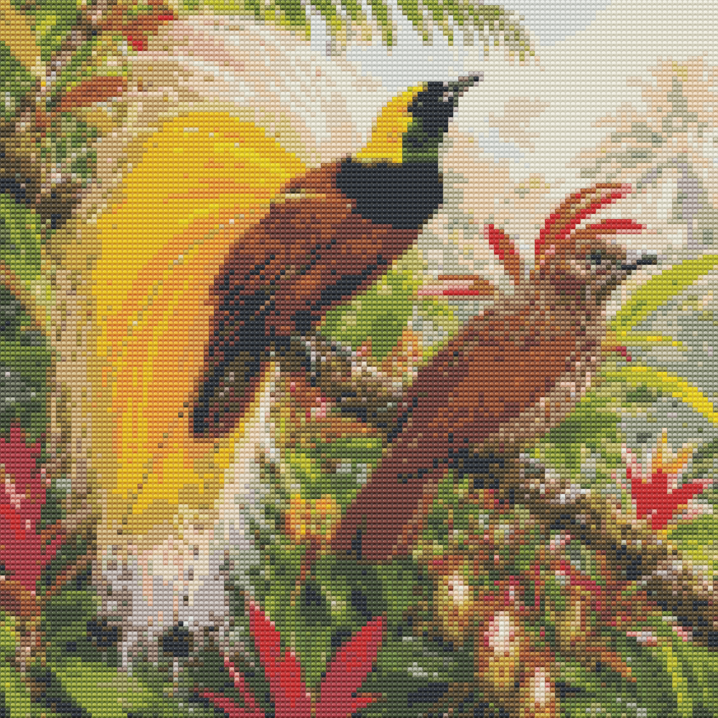 Golden Bird-of-Paradise